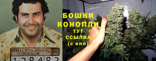каннабис Богданович