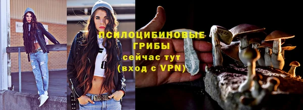 Альфа ПВП Богородск