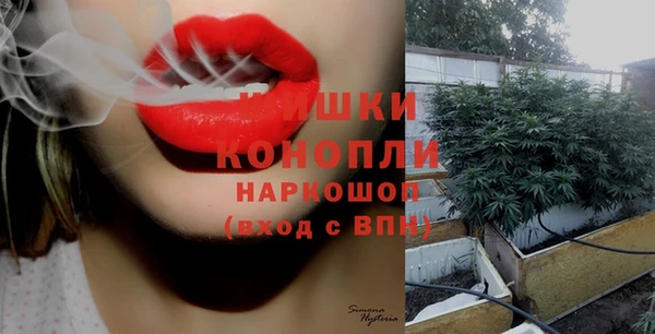 каннабис Богданович
